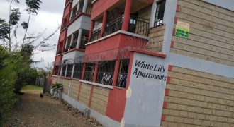 WHITE LILY APARTMENT, JUJA